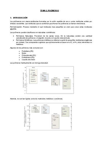 Resumen-Polimeros.pdf