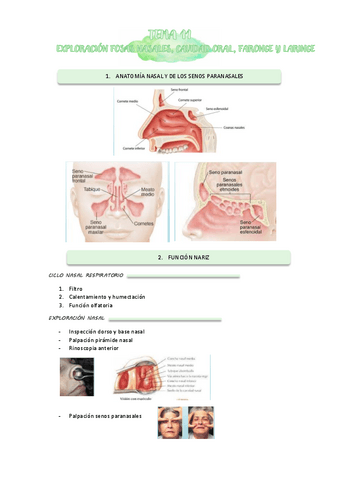 TEMA-11-Y-12-OIDO.pdf