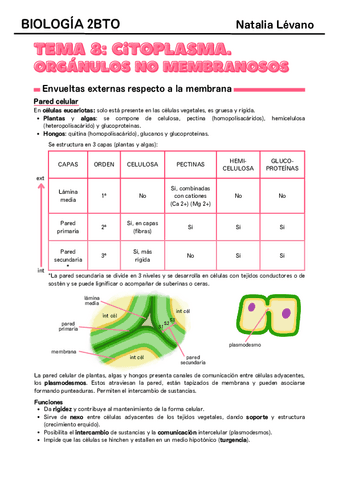 Tema-8-citoplasma-organulos-no-membranosos.pdf