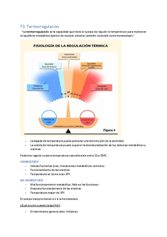T3.-Termorregulacion.pdf