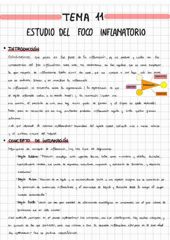TEMA-11-ANATOMIA-PATOLOGICA.pdf