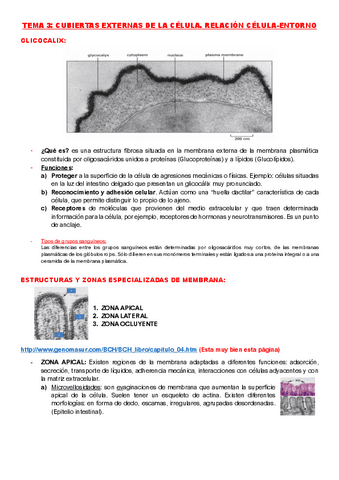 Tema-3-FUNDAMENTOS-DE-LA-BIOLOGIA.pdf