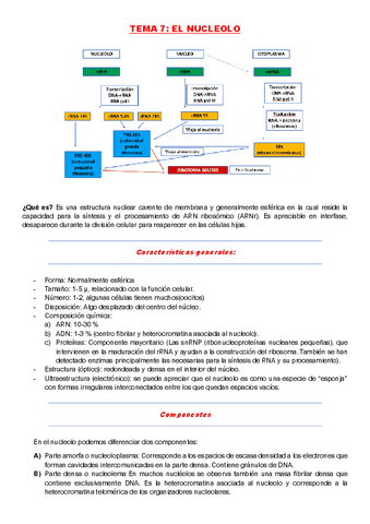 Tema-7-FUNDAMENTOS-DE-LA-BIOLOGIA.pdf