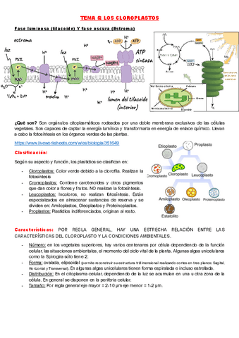 TEMA-5-FUNDAMENTOS-DE-LA-BIOLOGIA.pdf