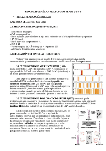 TEORIA-PARCIAL-II.pdf