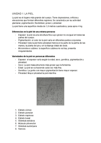 Analisis-Unidad-1-La-piel.pdf