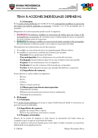 TEMA-11.-ACCIONES-INDIVIDUALES-DEFENSIVAS.pdf