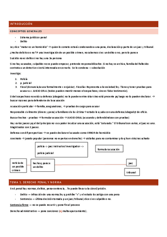 derecho-penal-general-tema-1-4.pdf