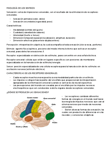 emociones básicas, fisiología de los sentidos y conciencia.pdf