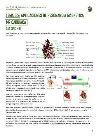 IBA-I-TEMA-5.2-APLICACIONES-DE-RESONANCIA-MAGNETICA.pdf