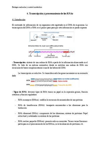 Tema-4-BioMol.pdf