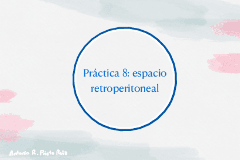 Practica-8-region-retroperitoneal.pdf