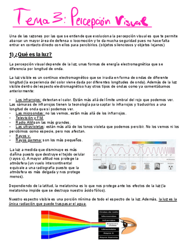 T.3-Percepcion-visual-corregido-por-Bea.pdf