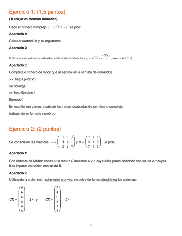 DiegoSuarezCastillo.pdf