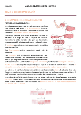 APUNTES-TEMA-5.pdf