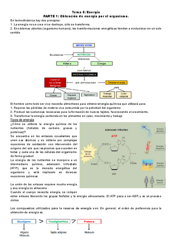 Fundamentos-tema-5.pdf