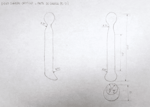 DPA07PL21Suarez-Castillo-Diego01.pdf
