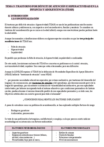 T5-CONDUCTA.pdf