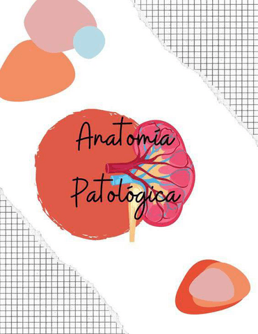 APG-TEORIA TODO-ARA+B+V.pdf