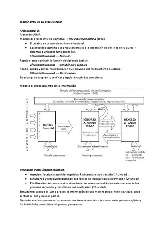 teroria-PASS-INTELIGENCIA.pdf