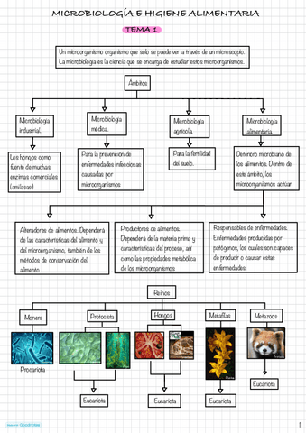 Esquemas-microbiologia-del-tema-1-al-tema-8.pdf