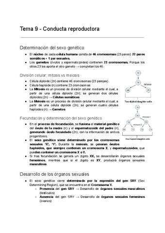 Tema-9-Conducta-reproductora.pdf