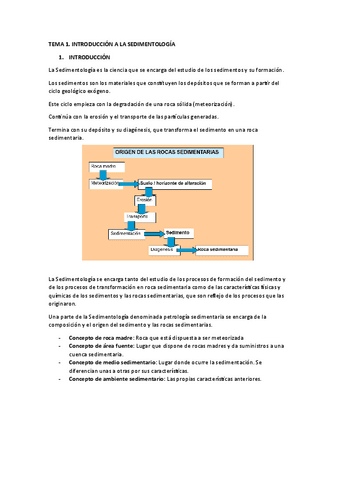 TEMA-1-DE-SEDI.pdf