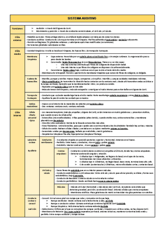 11-Sistema-Auditivo.pdf