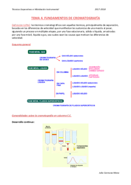 TEMA 4 TSH.pdf