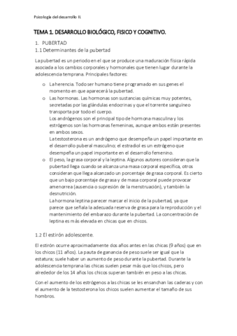 TEMA 1.pdf