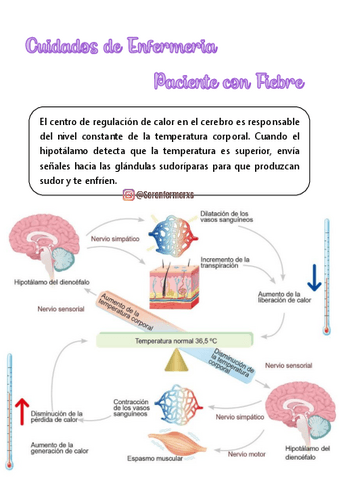 CUIDADOS-DE-ENFERMERIA-PACIENTE-CON-FIEBRE-A5.pdf