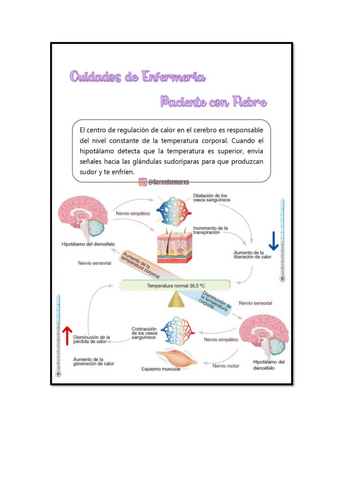CUIDADOS-DE-ENFERMERIA-PACIENTE-CON-FIEBRE-A5-PARA-IMPRIMIR.pdf