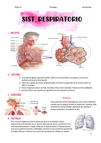 TEMA-14-Sistema-Respiratorio.pdf