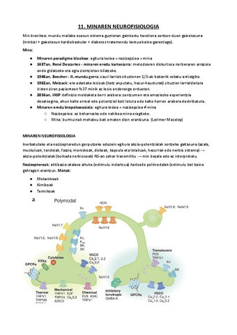 11.-MINAREN-NEUROFISIOLOGIA.pdf