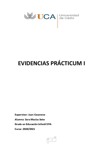 Evidencias.pdf