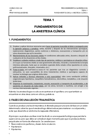Comision-ACP.pdf