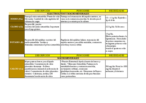 MACRO-MICRO.MINERALES.pdf