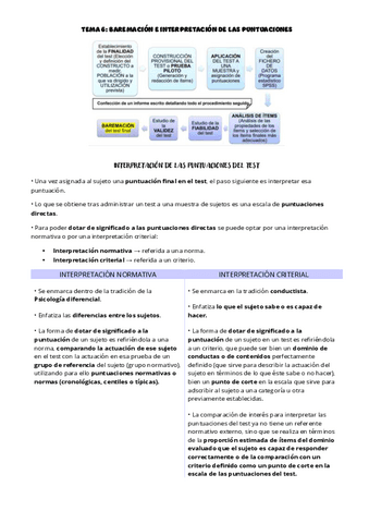 T6-Baremacion-e-interpretacion-de-las-puntuaciones.pdf