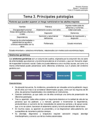 Tema-3-Principales-patologias.pdf