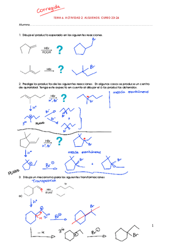 Tema-6-actividad-2-corregida.pdf