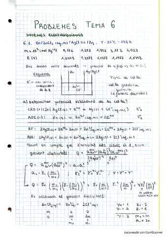Problemes-Tema-6-Electroquimica-FTS.pdf