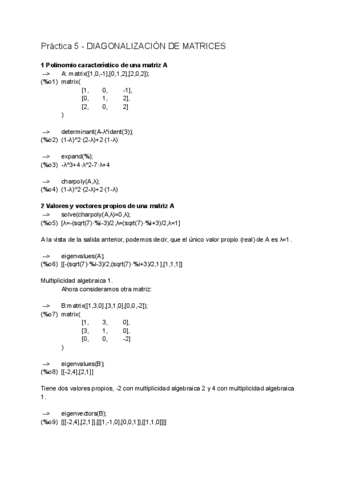 PRACTICA-5.pdf