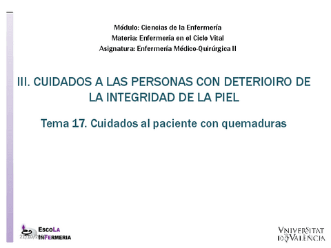 PPTEMA17.QUEMADURAS.pdf