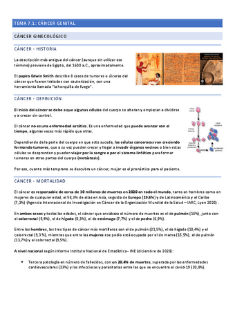 TEMA-7-Completo.pdf