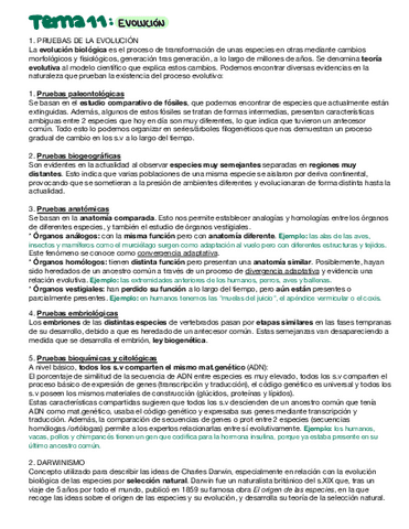 Evolucion.pdf