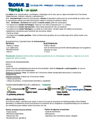 La-celula.pdf