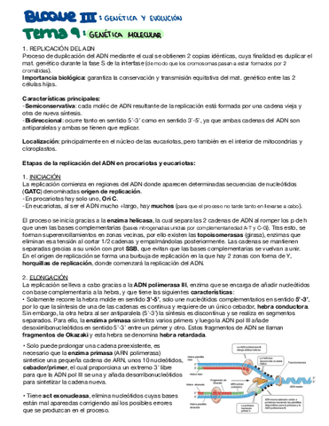 Genetica-molecular.pdf