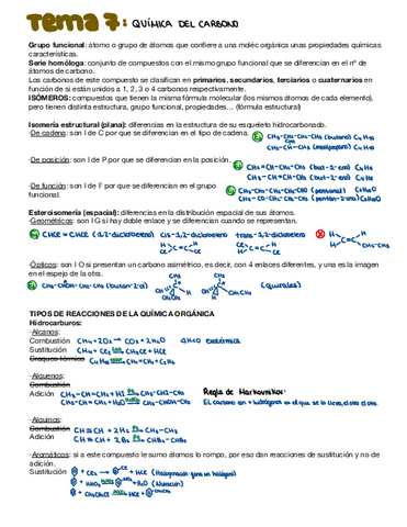 Quimica-del-carbono.pdf