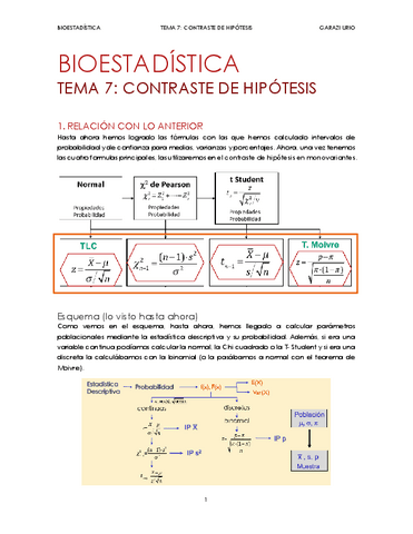 TEMA-7.-CONTRASTE-DE-HIPOTESIS.pdf