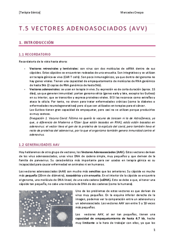 TG-T5.-Vectores-Adenoasociados-AVV.pdf